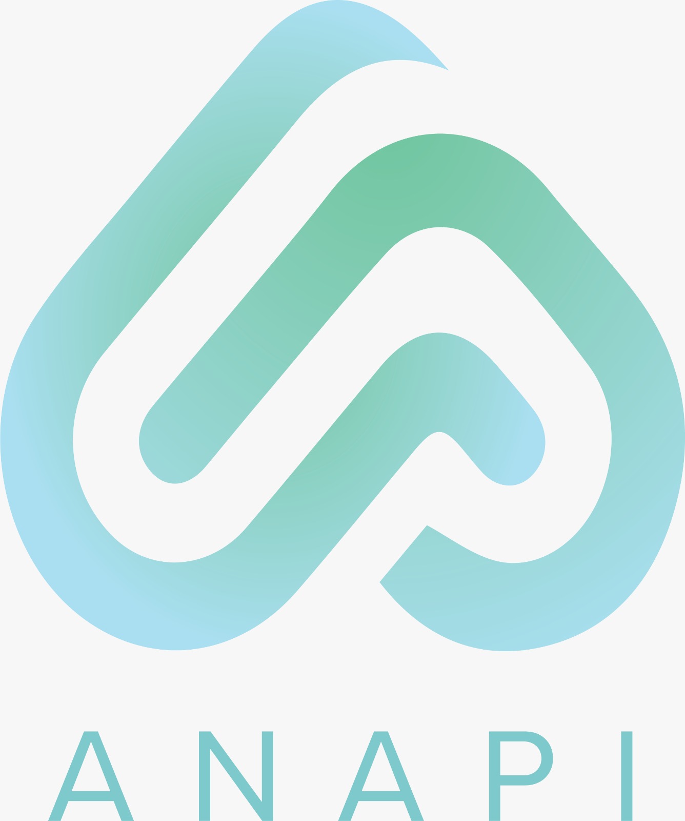 anapi_logo